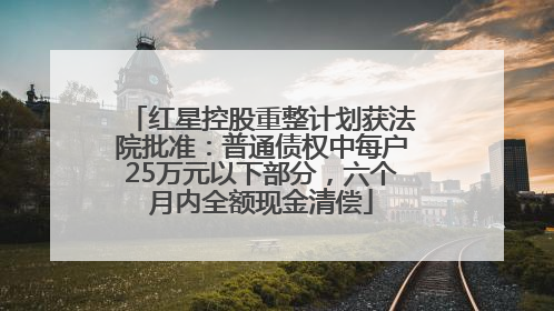 红星控股重整计划获法院批准：普通债权中每户25万元以下部分，六个月内全额现金清偿